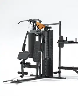 Posilňovacie veže Posilňovacia veža inSPORTline Profigym C60