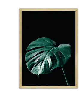 Obrazy Plagát Dark Monstera