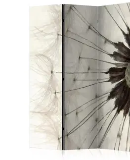 Paravány Paraván White Dandelion Dekorhome
