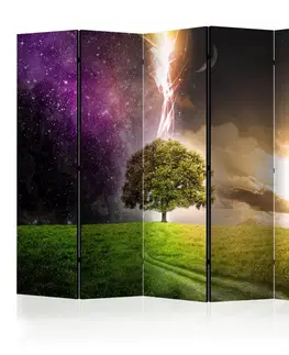 Paravány Paraván Magic Tree Dekorhome