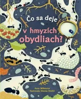 Leporelá, krabičky, puzzle knihy Čo sa deje v hmyzích obydliach? - Anna Milbourne,Simona Dimitri