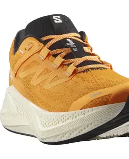 Cesta Salomon Aero Glide 3 M Veľkosť: 42 EUR