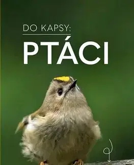 Biológia, fauna a flóra Ptáci - Do kapsy - Volker Dierschke