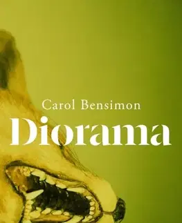 Beletria Diorama - Carol Bensimon