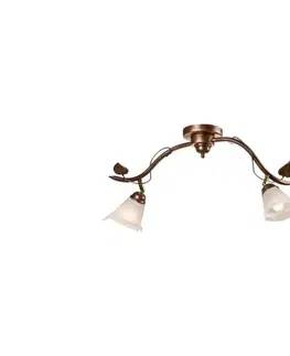 Svietidlá  Bodové svietidlo IVY 2xE14/40W/230V LM 2.2 br