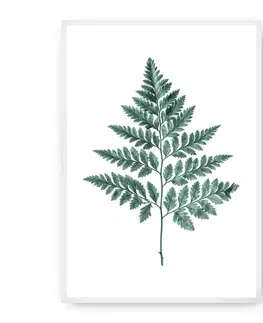 Obrazy Plagát Fern 21 x 30 cm Emerald Green
