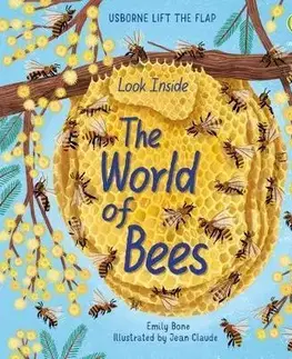 Leporelá, krabičky, puzzle knihy Look Inside the World of Bees - Emily Bone,Jean Claude