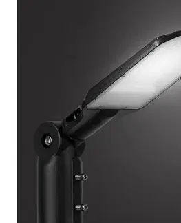 LED osvetlenie BRILAGI - LED Vonkajšia pouličná lampa URBANLIGHT LED/50W/230V čierna IP65 BRI785