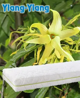 Matrace Matrac Ylang z pamäťovej peny DreamBed - 95x195cm Tiahome