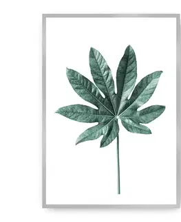 Obrazy Plagát Leaf Emerald Green