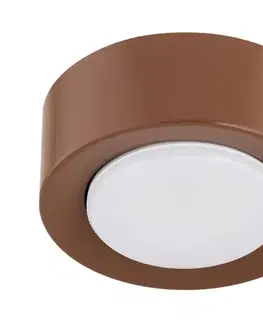 Svietidlá Argon 8916 - Stropné svietidlo ELORA 1xGX53/7W/230V priemer 11 cm terakotové 8916