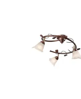 Svietidlá  Bodové svietidlo IVY 3xE14/40W/230V LM 3.14 br