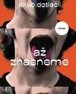 Romantická beletria Až zhasneme - Jakub Dotlačil