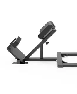 Posilňovacie lavice Hyperextenzia inSPORTline X-NT RC40