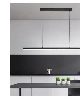 Svietidlá BRILAGI - LED luster na lanku PAXIS LED/30W/230V 120 cm čierny 63020
