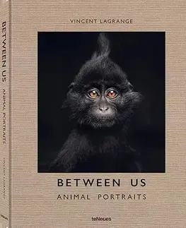 Fotografia Between Us: Animal Portraits - Vincent Lagrange