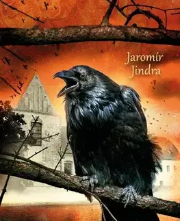 História - ostatné Václav IV. - Na zármutek nezbyl čas - Jindra Jaromír