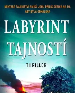 Detektívky, trilery, horory Labyrint tajností - Linda Castillo