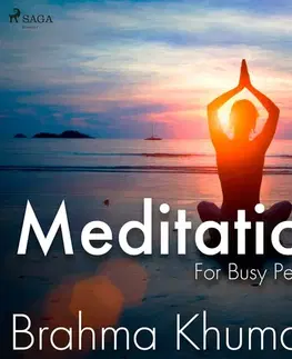 Rozvoj osobnosti Saga Egmont Meditation For Busy People - Part Two (EN)
