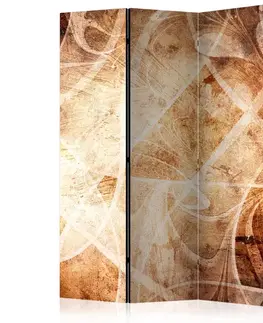 Paravány Paraván Brown Texture Dekorhome