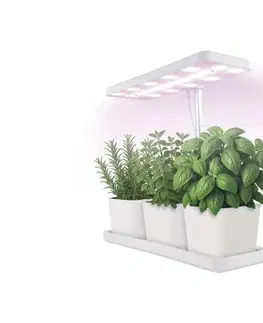 Lampy  LED stmievateľná interiérová lampa na pestovanie rastlín GROW LED/7W/5V Z7904