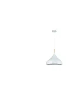 Svietidlá  Luster na lanku MIKO 1xE27/60W/230V pr. 32 cm biela ZS MIKO WHITE