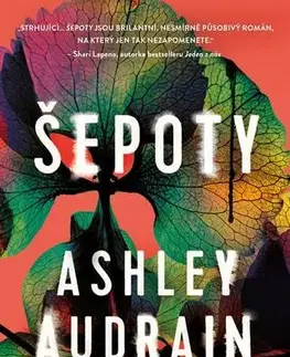 Detektívky, trilery, horory Šepoty - Ashley Audrain
