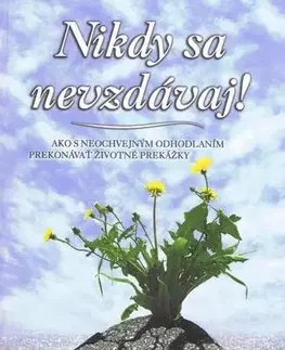 Svetová beletria Nikdy sa nevzdávaj! - Joyce Meyer