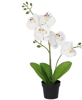 Záhradné dekorácie Umelá biela orchidea v kvetináči 40 cm