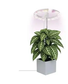 Lampy  LED Stmievateľná interiérová lampa na pestovanie rastlín GROW LED/8W/5V Z7902