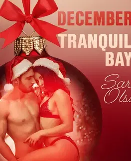 Erotická beletria Saga Egmont December 19: Tranquility Bay – An Erotic Christmas Calendar (EN)