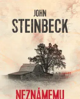 Svetová beletria Neznámemu bohu - John Steinbeck,Katarína Jusková