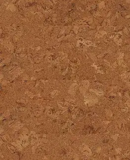 Wise cork inspire AMORIM WICANDERS Wise cork inspire Originals shell 80003485