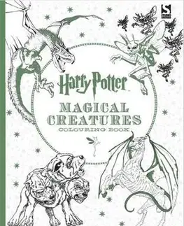 Maľovanky pre dospelých Harry Potter Magical Creatures Colouring Book