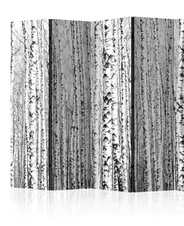Paravány Paraván Birch forest Dekorhome