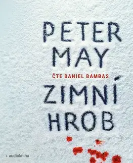 Detektívky, trilery, horory OneHotBook Zimní hrob