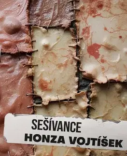 Detektívky, trilery, horory Sešívance - Kolektív autorov
