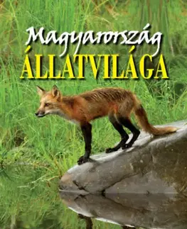 Biológia, fauna a flóra Magyarország állatvilága - István Bernáth