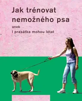 Hobby - ostatné Jak trénovat nemožného psa - Jane Killionová
