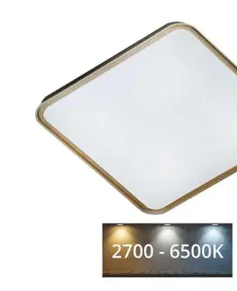 Svietidlá  LED Stmievateľné stropné svietidlo UNA LED/60W/230V 2700-6500K + diaľkové ovládanie 008 0001114