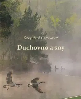 Kresťanstvo Duchovno a sny - Krzysztof Grzywocz