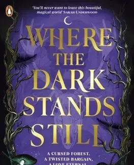 Fantasy, upíri Where the Dark Stands Still - A.B. Poranek