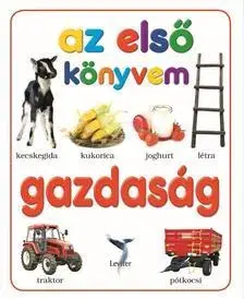 Leporelá, krabičky, puzzle knihy Gazdaság - Az első könyvem