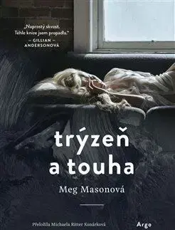 Svetová beletria Trýzeň a touha - Meg Mason