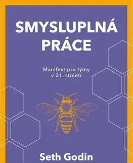 Manažment Smysluplná práce - Seth Godin,Jolana Navrátilová