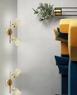 Nástenné svetlá Nástenná lampa 2xG9 mosadz YORK