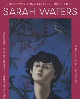 Svetová beletria The Little Stranger - Sarah Watersová