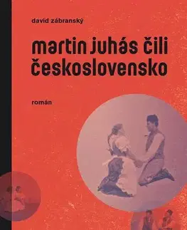 Historické romány Martin Juhás čili Československo - David Zábranský