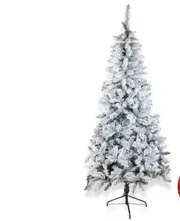 Vianočné dekorácie Eurolamp Vianočný stromček SCOTLAND 210 cm jedľa 600-30640
