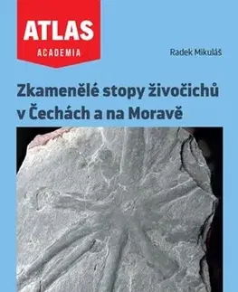 Geografia, geológia, mineralógia Zkamenělé stopy živočichů v Čechách a na Moravě - Radek Mikuláš